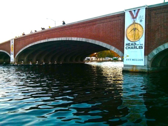 HOC Bridge Banner