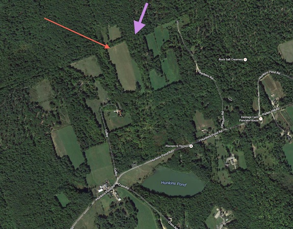 The tip of the red arrow is where I operated from. The tip of the purple arrow is where the granite bedrock with the continental glacial striations is located. Image credit: Google Maps (C) 2015