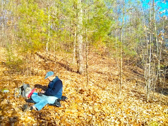 The leaves were dry and it was so warm in the sun! Photo credit: Tim Carter - W3ATB