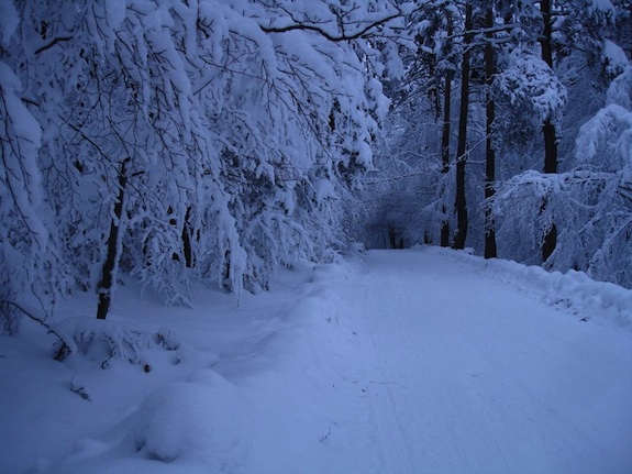 Bulgarian Winter