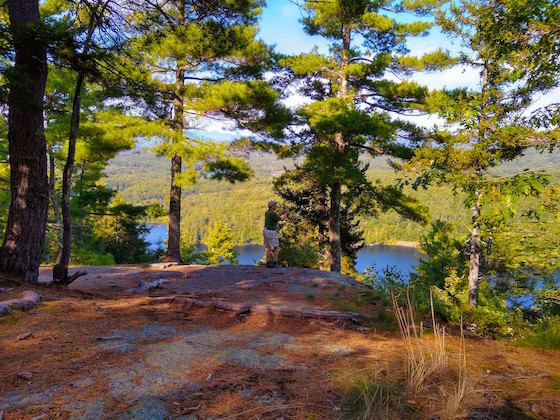 bald ledge trail