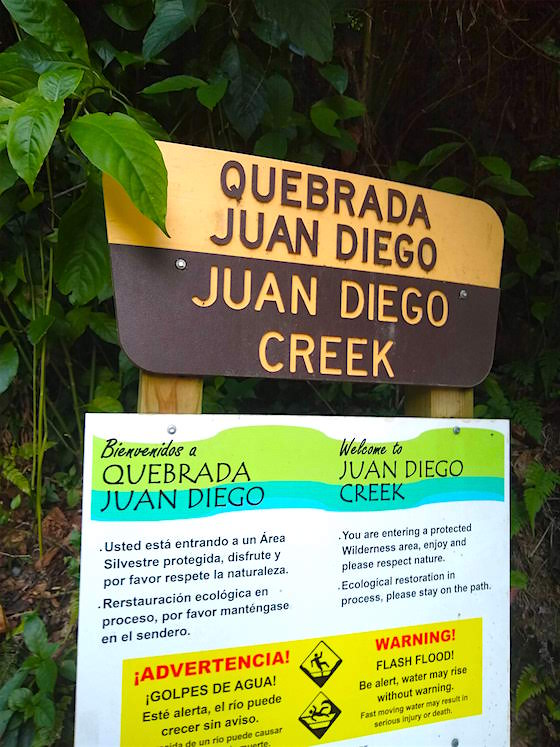 juan diego creek el yunque