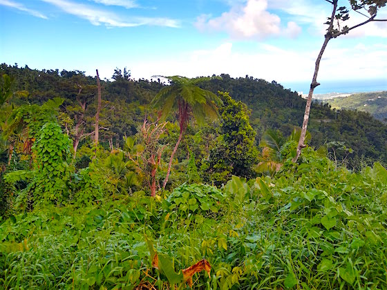 el yunque