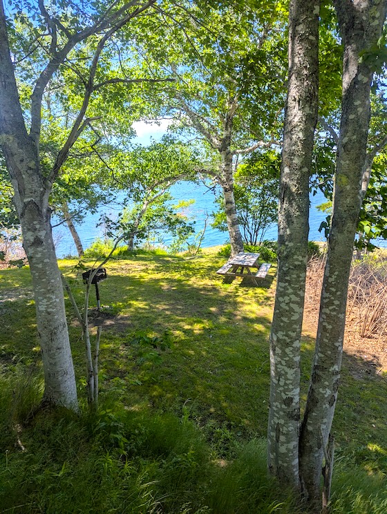 somes sound picnic table